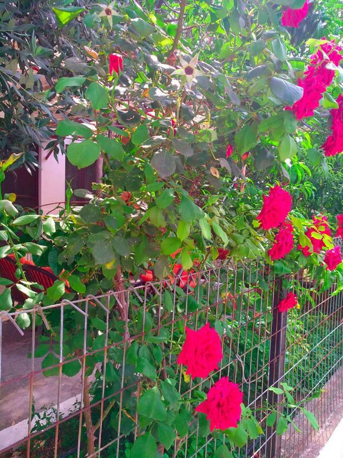 Our Parent'S House. Family House For Rent Villa Skála Kallirákhis Dış mekan fotoğraf